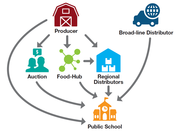 flowchart showing supply from producer to public school
