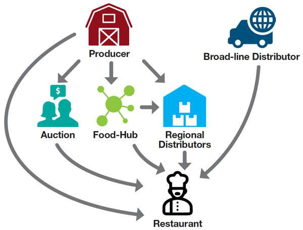 Flowchart showing how product moves from producer to restaurants