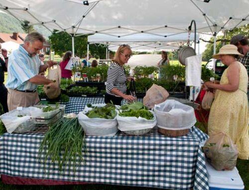 A multistate effort to integrate and expand farmers’ market food safety materials across the southern region to increase food safety culture