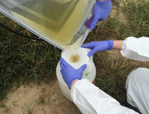 Investigating the Microbial Die-off of Generic E. coli On-farm