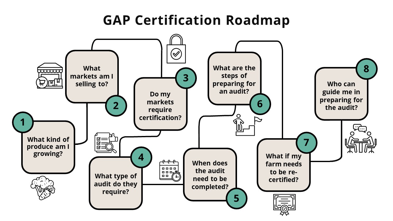 GAP roadmap
